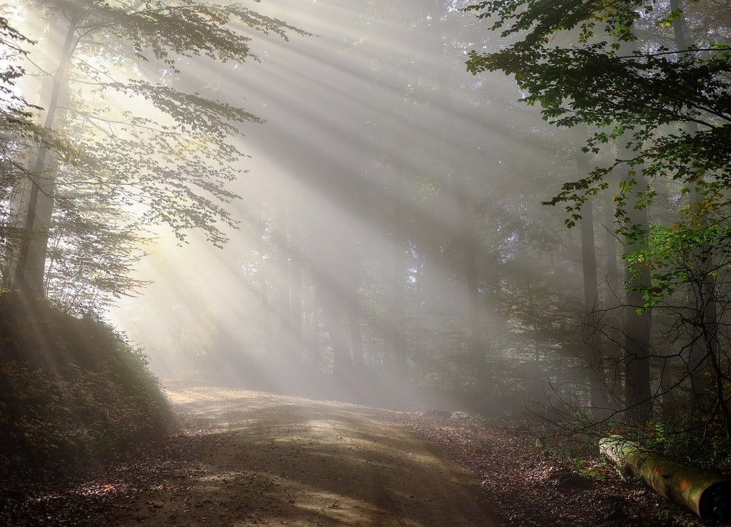 Quels sont les avantages de vivre à la campagne ?